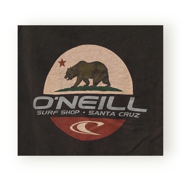 O'Neill California Bear Retired Vintage Design Hoodie - Picture 3 of 5
